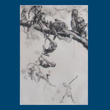 Load image into Gallery viewer, Leonard Robert Brightwell 1920s Drypoint Etching. A Troop of Monkeys on Tree Branch. Entitled: The Social Climber
