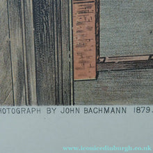 Load image into Gallery viewer, Antique Print of New York 1870s 5th Avenue after John Backmann
