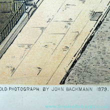 Load image into Gallery viewer, 1870s New York Antique Print Fifth Avenue after John Bachman
