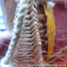 Load image into Gallery viewer, Vintage / Antique Nagaland Naga Woven Helmet Decorated with Goat Hair and Tusks
