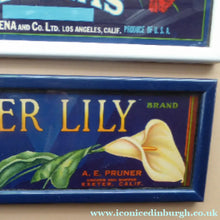 Load image into Gallery viewer, Vintage 1940s American Fruit Box Labels Framed
