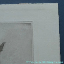 Load image into Gallery viewer, ORIGINAL Coloured Etching of Border Terriers by George Vernon Stokes (1874 - 1954). Pencil SIGNED
