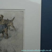 Load image into Gallery viewer, ORIGINAL Coloured Etching of Border Terriers by George Vernon Stokes (1874 - 1954). Pencil SIGNED
