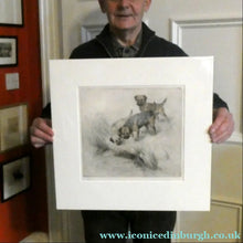 Load image into Gallery viewer, ORIGINAL Coloured Etching of Border Terriers by George Vernon Stokes (1874 - 1954). Pencil SIGNED
