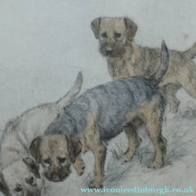 Load image into Gallery viewer, ORIGINAL Coloured Etching of Border Terriers by George Vernon Stokes (1874 - 1954). Pencil SIGNED
