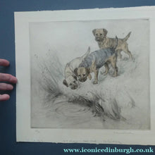 Load image into Gallery viewer, ORIGINAL Coloured Etching of Border Terriers by George Vernon Stokes (1874 - 1954). Pencil SIGNED
