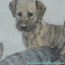 Load image into Gallery viewer, ORIGINAL Coloured Etching of Border Terriers by George Vernon Stokes (1874 - 1954). Pencil SIGNED
