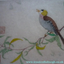 Load image into Gallery viewer, ORIGINAL DRYPOINT Etching / Woodblock Print by Elyse Ashe Lord (British, 1900–1971). Chinese Bird on a Branch, 1930s
