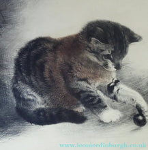 Load image into Gallery viewer, Pencil Signed Etching by Kurt Meyer-Eberhardt Kitten Playing with a Ball
