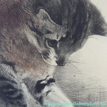 Load image into Gallery viewer, Pencil Signed Etching by Kurt Meyer-Eberhardt Kitten Playing with a Ball
