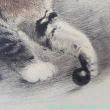 Load image into Gallery viewer, Pencil Signed Etching by Kurt Meyer-Eberhardt Kitten Playing with a Ball
