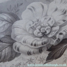 Load image into Gallery viewer, ORIGINAL GEORGIAN Watercolour.  RARE Early 19th Century Grisaille Floral Designs for Plate Border Decorations: E
