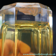 Load image into Gallery viewer, PAIR: Rosenthal Versace MEDUSA Limiere Rhapsody Amber Tall Highball Glasses
