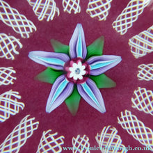 Load image into Gallery viewer, Paul Ysart Harland Paperweight. H Cane. Central Flower
