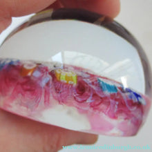 Load image into Gallery viewer, Boxed Paul Ysart Harland Paperweight Boxed with H Cane
