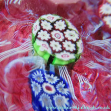 Load image into Gallery viewer, Boxed Paul Ysart Harland Paperweight Boxed with H Cane
