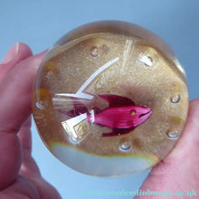 Load image into Gallery viewer, Vintage Paul Ysart Harland Paperweight. Signed with H Cane
