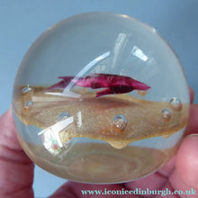 Load image into Gallery viewer, Vintage Paul Ysart Harland Paperweight. Signed with H Cane

