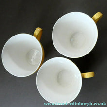 Load image into Gallery viewer, Popular 1950s THREE Trios. Attractive Yellow HABITANT Pattern by Meakin
