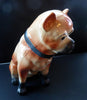 Antique LIFE SIZE Pug Dog Figurine / Slip Cast Model. Probaby STAFFORDSHIRE, c 1880s. 13 1/2 inches