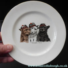 Load image into Gallery viewer, Vintage Anynsley Dog Plate. Cairn, Scottie and Westie  Terriers 
