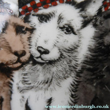 Load image into Gallery viewer, Vintage Anynsley Dog Plate. Cairn, Scottie and Westie  Terriers 
