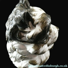 Load image into Gallery viewer, Rare Late 19th Century Continental Ceramic Tobacco Jar. Terrier Head

