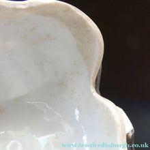 Load image into Gallery viewer, Rare Late 19th Century Continental Ceramic Tobacco Jar. Terrier Head
