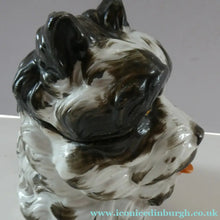 Load image into Gallery viewer, Rare Late 19th Century Continental Ceramic Tobacco Jar. Terrier Head
