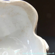 Load image into Gallery viewer, Rare Late 19th Century Continental Ceramic Tobacco Jar. Terrier Head
