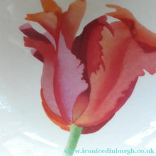 Load image into Gallery viewer, RARE Emma Bridgewater Pair of Footed Bowls with Lettering SUMMERTIME TULIPS
