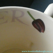 Load image into Gallery viewer, RARE Emma Bridgewater SINGLE MUG with Lettering SUMMER TULIPS. Now Discontinued
