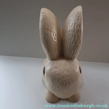 Load image into Gallery viewer, Rare HUGE Delcroft Pottery Beige Snub Nose Rabbit (in the manner of Sylvac). Size 00 (12 1/2 inches)
