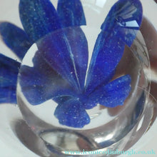 Load image into Gallery viewer,  Perthshire Glass Floral Paperweight (PP133A) with Blue Flower Heads and Facets
