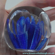 Load image into Gallery viewer,  Perthshire Glass Floral Paperweight (PP133A) with Blue Flower Heads and Facets
