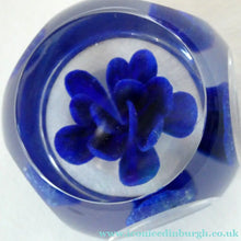 Load image into Gallery viewer,  Perthshire Glass Floral Paperweight (PP133A) with Blue Flower Heads and Facets
