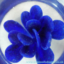 Load image into Gallery viewer,  Perthshire Glass Floral Paperweight (PP133A) with Blue Flower Heads and Facets
