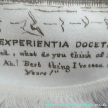 Load image into Gallery viewer, Rare Set of Four VICTORIAN White Cotton Place Mats with Printed Images

