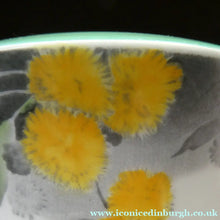 Load image into Gallery viewer, Rare SHELLEY 1930s Art Deco TEAPOT. Regal Acacia Pattern with Yellow Flowers - British Ceramics
