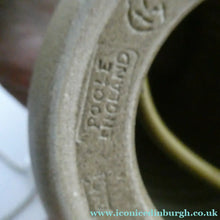 Load image into Gallery viewer, RARE Vintage 1960s POOLE POTTERY Lamp. ATLANTIS Design by Carol Kellett
