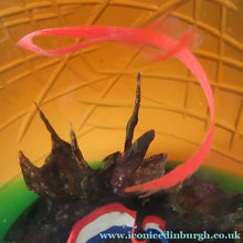 Load image into Gallery viewer, Helen Macdonald Scottish Paperweight Liberte Les Miserables Caithness Glass
