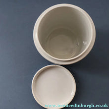 Load image into Gallery viewer, Rarer 1930s TG Green CORNISHWARE Tall Lidded Canister for TAPIOCA. 5 1/2 Inches in Height. Black Shield Mark

