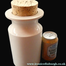 Load image into Gallery viewer, Rarer 1960s Portmeirion Storage Cannister with Dolphin Motif &amp; Original Cork Lid
