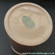 Load image into Gallery viewer, Rarer 1960s Portmeirion Storage Cannister with Dolphin Motif &amp; Original Cork Lid
