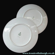 Load image into Gallery viewer, Winterling Marktleuthen 1960s Salad Ware Pattern Side Plates
