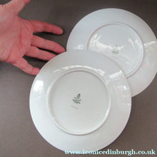 Load image into Gallery viewer, Winterling Marktleuthen 1960s Salad Ware Pattern Side Plates
