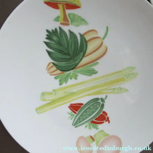 Load image into Gallery viewer, Winterling Marktleuthen 1960s Salad Ware Pattern Side Plates
