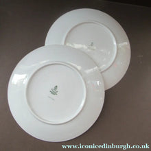 Load image into Gallery viewer, Winterling Marktleuthen 1960s Salad Ware Pattern Side Plates
