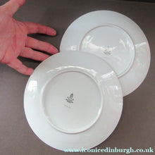 Load image into Gallery viewer, Winterling Marktleuthen 1960s Salad Ware Pattern Side Plates
