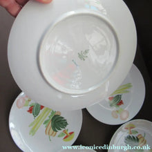 Load image into Gallery viewer, Winterling Marktleuthen 1960s Salad Ware Pattern Side Plates
